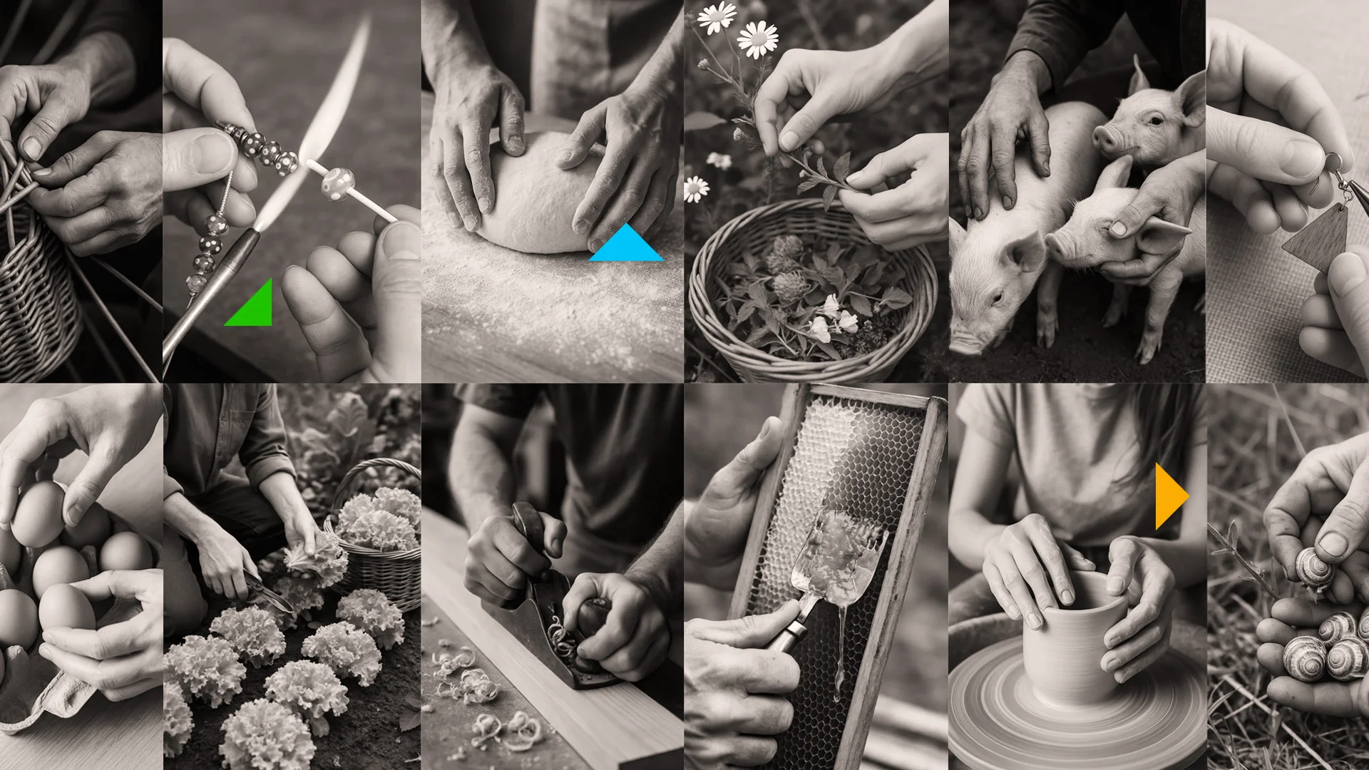 19 ASSOCIÉS, UNE SEULE TRIÈVOISE